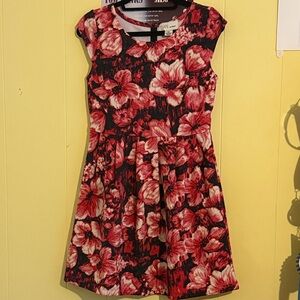 ISANI For Target Pink and Black Floral Fit-and-Flare Dress